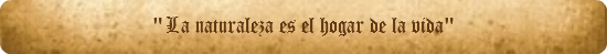 "La naturaleza es el hogar de la vida"
